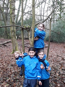 Year 3 Forest School