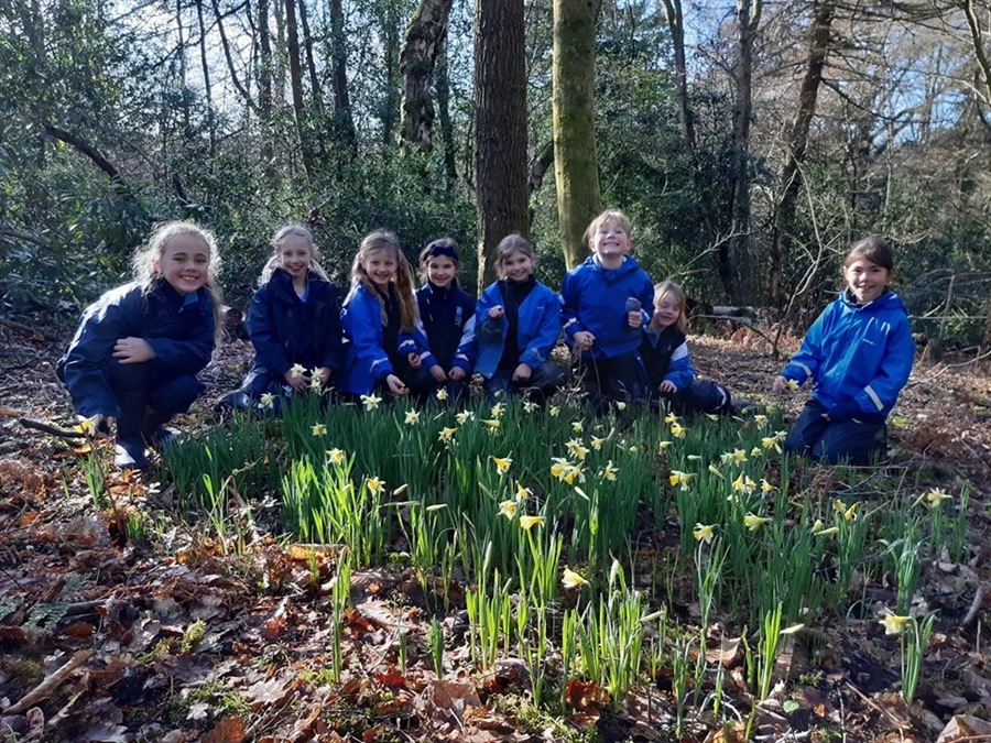 Year 3 Forest School