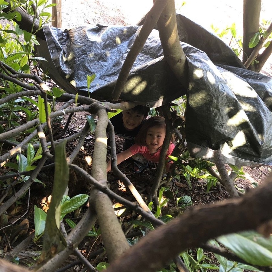 Forest School