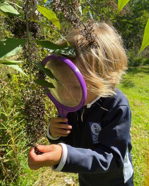 Reception Forest School