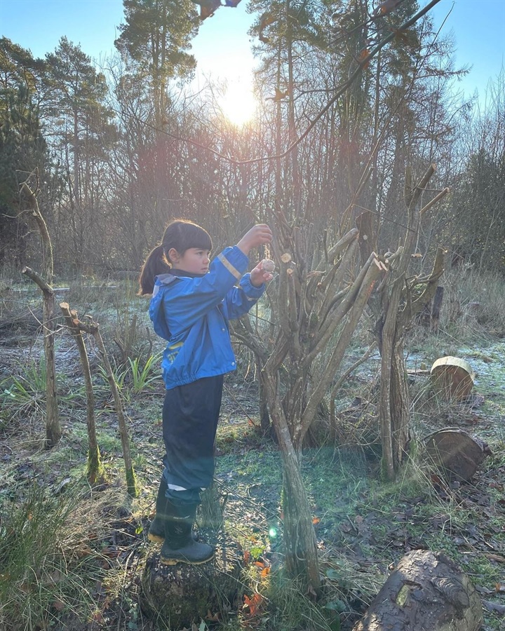 Forest School