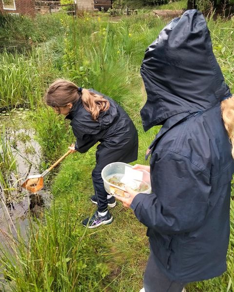 Year 2 Trip to Queen Elizabeth Country Park