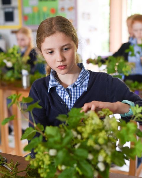 Year 6 Luncheon Preparation